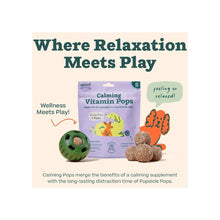 Load image into Gallery viewer, Woof Calming Wellness Pupsicle Pops