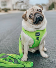 Load image into Gallery viewer, Neon Green Leash