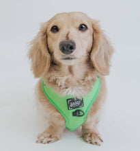 Load image into Gallery viewer, Neon Green Harness