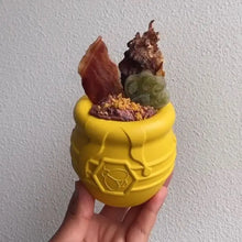 Load image into Gallery viewer, Honey Pot Treat Dispenser & Enrichment