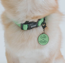 Load image into Gallery viewer, Neon Green Collar