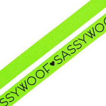 Load image into Gallery viewer, Neon Green Leash