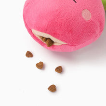 Load image into Gallery viewer, Feisty Radish