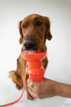 Load image into Gallery viewer, Dog Travel Water Bottles