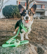 Load image into Gallery viewer, Neon Green Leash