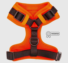 Load image into Gallery viewer, Neon Orange Harness