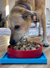 Load image into Gallery viewer, Hold 'Em Slow Feeder Holder