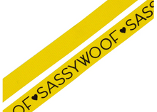 Load image into Gallery viewer, Neon Yellow Leash