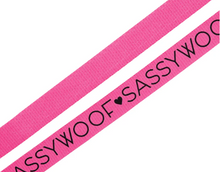 Load image into Gallery viewer, Neon Pink Leash