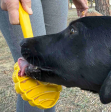 Load image into Gallery viewer, Lick Stick Hand-Held Enrichment