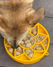 Load image into Gallery viewer, Sunflower Slow Feeder ETray