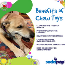 Load image into Gallery viewer, Flower Tower Nylon Enrichment Toy