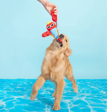 Load image into Gallery viewer, Brock the Lobster