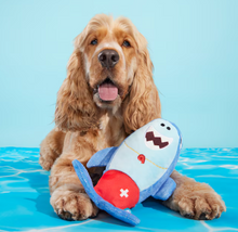 Load image into Gallery viewer, Pool Shark Shane