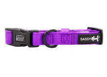 Load image into Gallery viewer, Neon Purple Collar