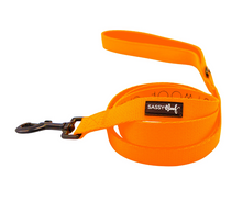 Load image into Gallery viewer, Neon Orange Leash