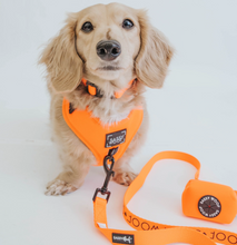 Load image into Gallery viewer, Neon Orange Leash