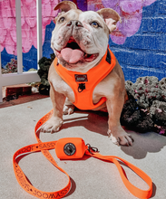 Load image into Gallery viewer, Neon Orange Leash