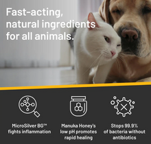 Load image into Gallery viewer, Hot Spot & Wound Care Ointment