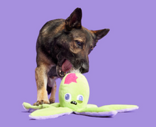 Load image into Gallery viewer, Undead Ollie