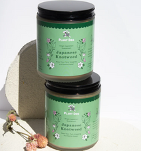 Load image into Gallery viewer, Japenese Knotweed Powder