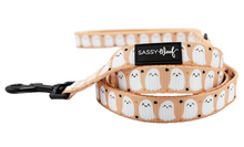 Load image into Gallery viewer, Squad Ghouls Leash