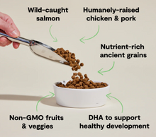 Load image into Gallery viewer, Open Farm Ancient Grains Puppy Kibble