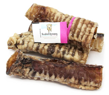 Load image into Gallery viewer, Tuesday's Trachea