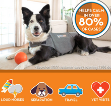 Load image into Gallery viewer, ThunderShirt Anxiety Relief