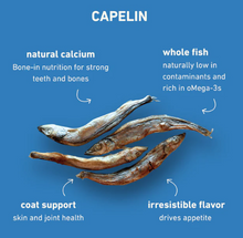 Load image into Gallery viewer, Capelin Pocket Treats