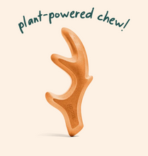 Load image into Gallery viewer, Pumpkin Spice HonestChew