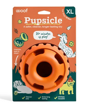 Load image into Gallery viewer, Pumpkin Pupsicle