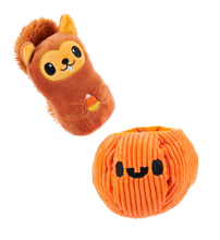 Load image into Gallery viewer, Squirrel O' Lantern