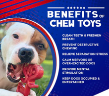 Load image into Gallery viewer, Key To My Heart Enrichment Toy