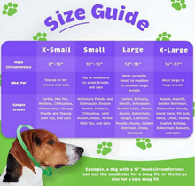 Load image into Gallery viewer, Happy Hoodie