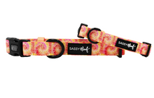 Load image into Gallery viewer, Summer Sorbet Collar