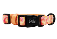 Load image into Gallery viewer, Summer Sorbet Collar