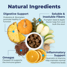 Load image into Gallery viewer, Glandex Anal Gland Support Soft Chews