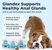Load image into Gallery viewer, Glandex Anal Gland Support Soft Chews