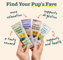 Load image into Gallery viewer, Pupsicle Treat Mix 4 Pack
