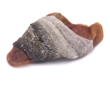 Load image into Gallery viewer, Fish Ear