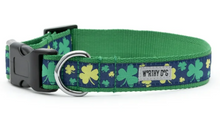 Load image into Gallery viewer, Lucky Collar