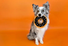 Load image into Gallery viewer, Pumpkin Donutz