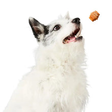 Load image into Gallery viewer, Project Hive Sm Pb Chews