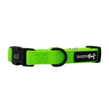 Load image into Gallery viewer, Neon Green Collar