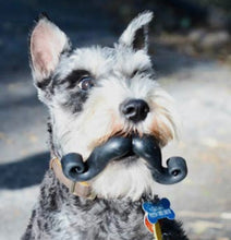 Load image into Gallery viewer, Stache Ball