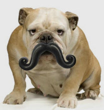 Load image into Gallery viewer, Stache Ball