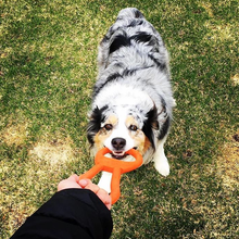 Load image into Gallery viewer, SP Pop Top Tug Toy - Tug O&#39; War - Large - Orange
