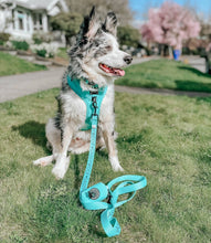 Load image into Gallery viewer, Neon Blue Leash
