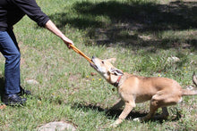 Load image into Gallery viewer, SP Pop Top Tug Toy - Tug O&#39; War - Large - Orange
